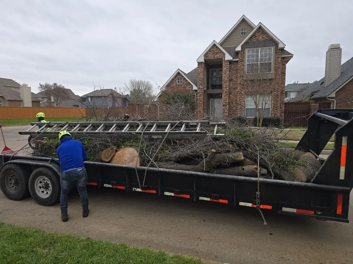 Expert Lot Clearing with proper safety equipment in Toccoa
